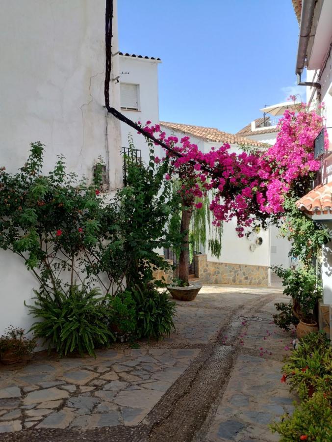 Holiday home Casa Perejil, Un Balcon Al Genal