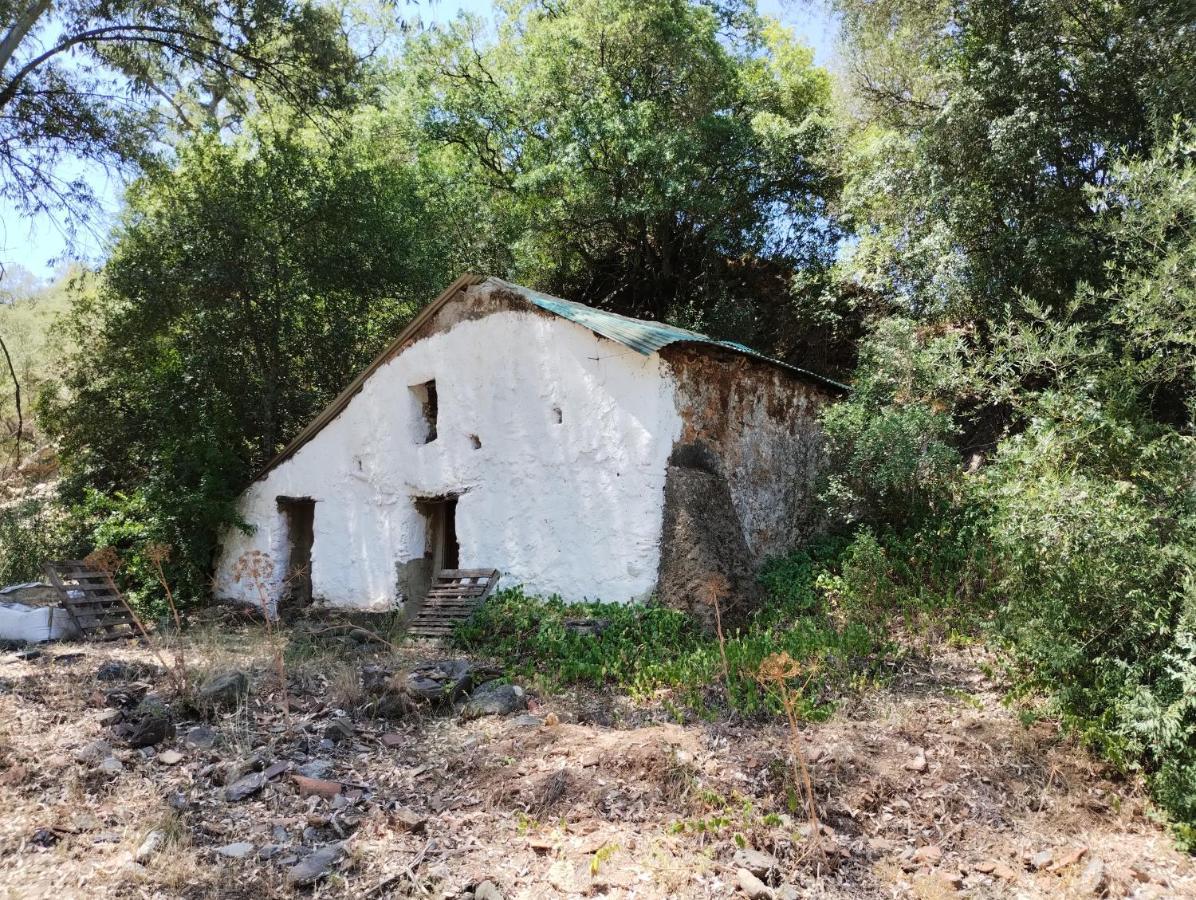 Holiday home Casa Perejil, Un Balcon Al Genal Genalguacil